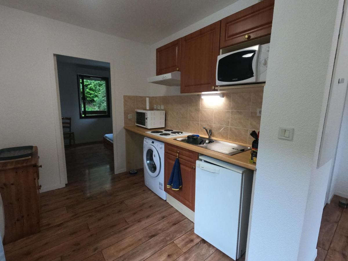 Appartement 39 M2 2 A 4 Personnes Aspin-en-Lavedan Buitenkant foto